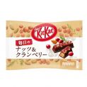 Kit de kat com nozes vermelhas e mirtilos
