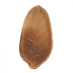 Plato Hoja 33x12CM Porcelana "Moron Hoja"