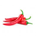 Chili vermelho fresco