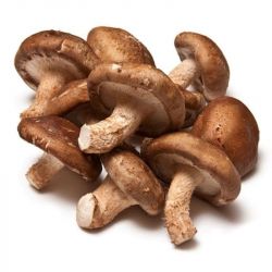 Shiitake fresco