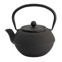Iron teapot 1.2LT "points-neg".