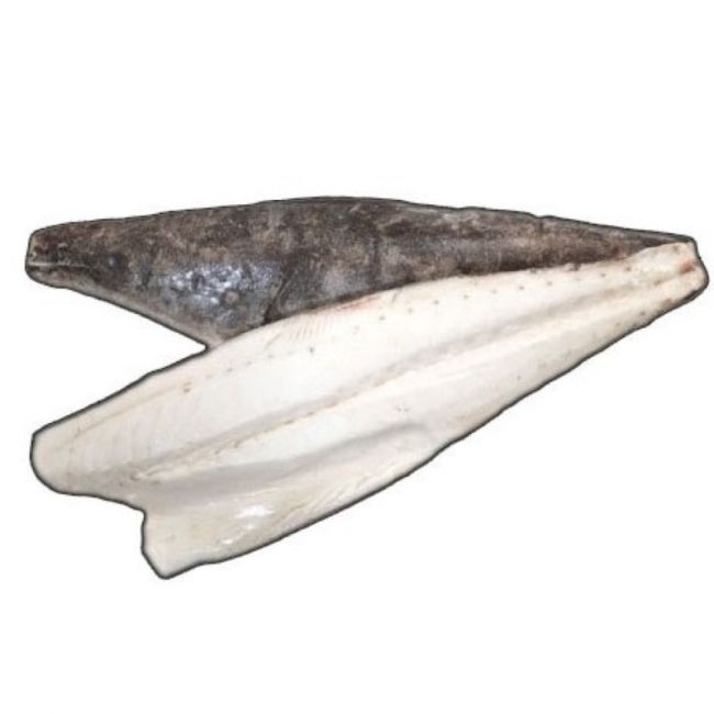 Peixe manteiga sem pele *kg