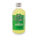 Bebida ecológica de chá verde kombuchá (VITAE) 250ml