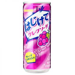 Soda Sabor Uva (SANGRIA) 250ml