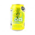 Bebida gaseificada sabor melão (SFC BIO) 350ml