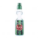 Beber sabor de melancia (TOMOMASU) 300ml