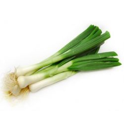 Japonês ou Negi 90g