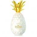 Piña Colada (PIÑAP) licor (Alc.17%) 1