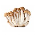 Cogumelo de shimeji marrom fresco 150g