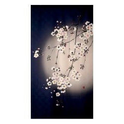 copy of Noren 85x150cm...