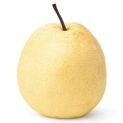 Pêra Nashi Japonesa (1u) 400g