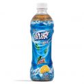 Bebida refrescante de chá vermelho com sabor de menta (MAESTRO KANG) 500ml