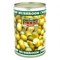 Cogumelo chinês enlatado (MODO) 425g