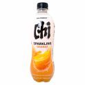 Bebida gasosa laranja vitamina C (floresta do chi) 480ml