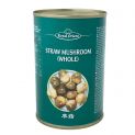 Chinês Champiñon em enlatado (Royal Orient) 425g
