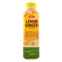 Aloe Vera S / Limon Bebida e Gengibre (OKF) 500ml