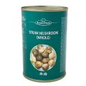 Chinês Champiñon em enlatado (Royal Orient) 425g