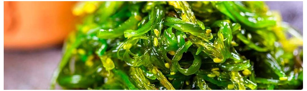 Comprar Chinês, Japonês, Coreano, ... Seaweed