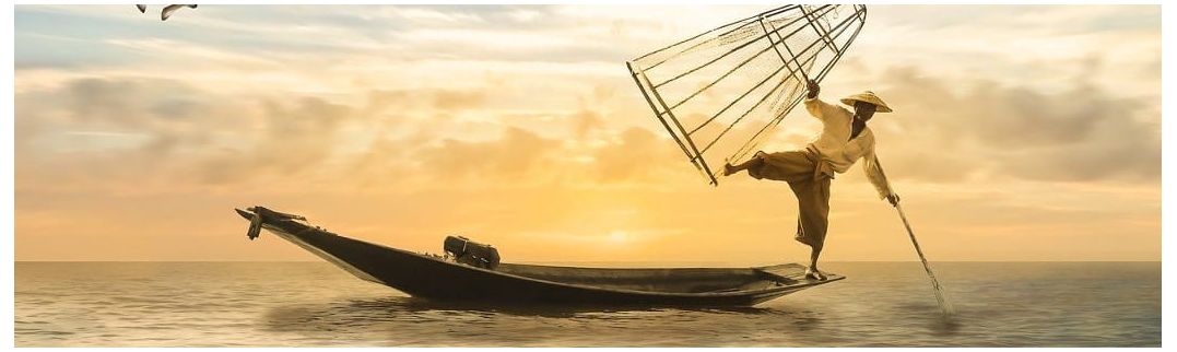 Molhos de ostra - OrientalMarket.es