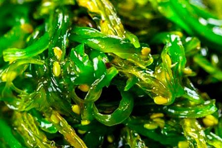 Alga