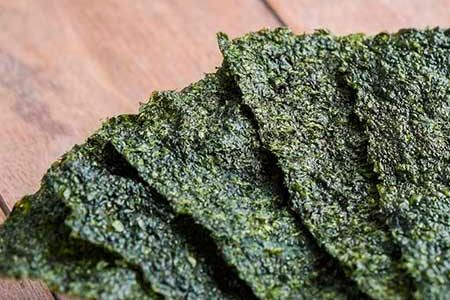 Alga Nori
